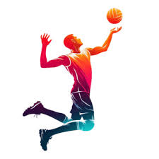 Volly